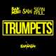 Sak Noel & Salvi feat. Sean Paul от Trumpets (Radio Edit)