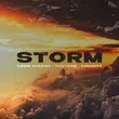Vadim Adamov от Storm (feat. Venteris & Dinamixx)