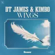 DT James от Wings (feat. Kimbo)