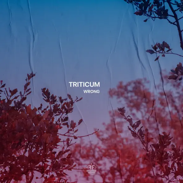Музика Triticum - Wrong