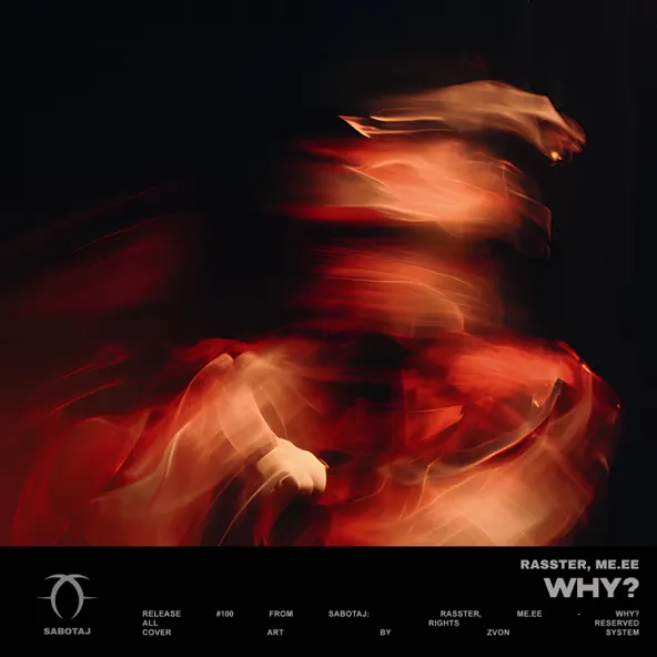 Музика Rasster - Why? (feat. Me.ee)