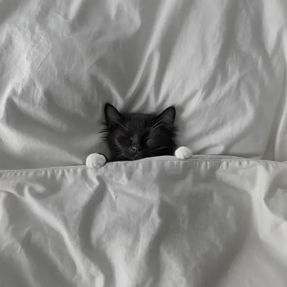 Музика Мія Рамарі - Мій Кіт І Я (feat. Настя Гонцул)