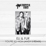 Eli And Fur от You're So High (Andy S Remix)
