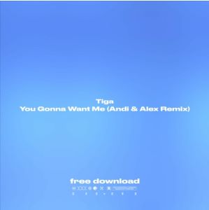 Музика Tiga - You Gonna Want Me (Andi & Alex Remix)