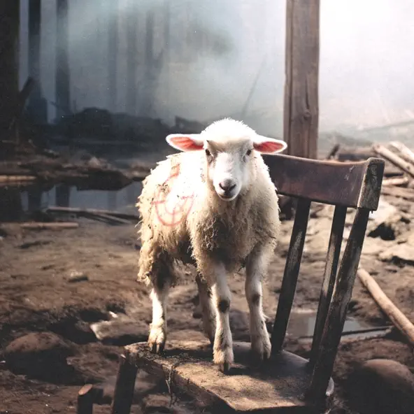 Музика Lizer - Споры (feat. Shawtyshine)