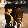 Grosu от Туман (Iksiy Version)