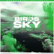 Newera от Birds In The Sky