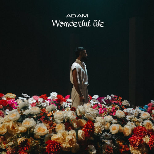 Музика Adam - Wonderful Life