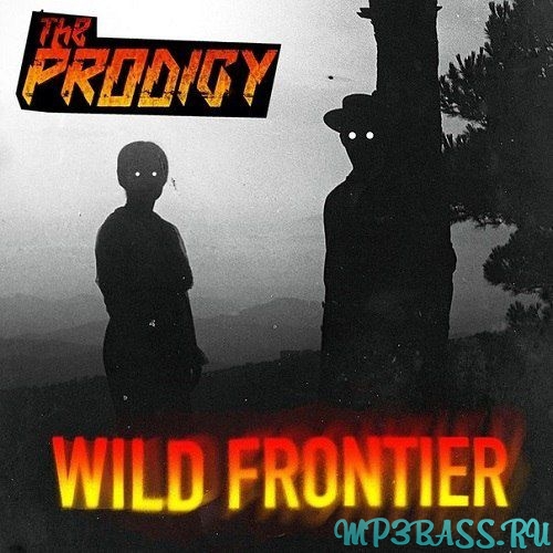 Groove Delight от The Voices (Original Mix)