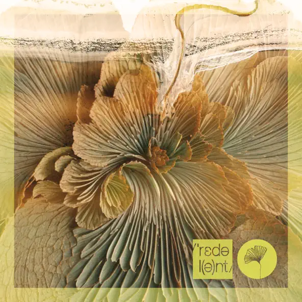 Музика Sounds Of Rituals & Davina Leone - The Moments (Original Mix)