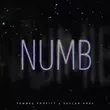 Tommee Profitt от Numb (feat. Skylar Grey)