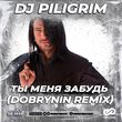 DJ Piligrim от Ты Меня Забудь (Dobrynin Remix)