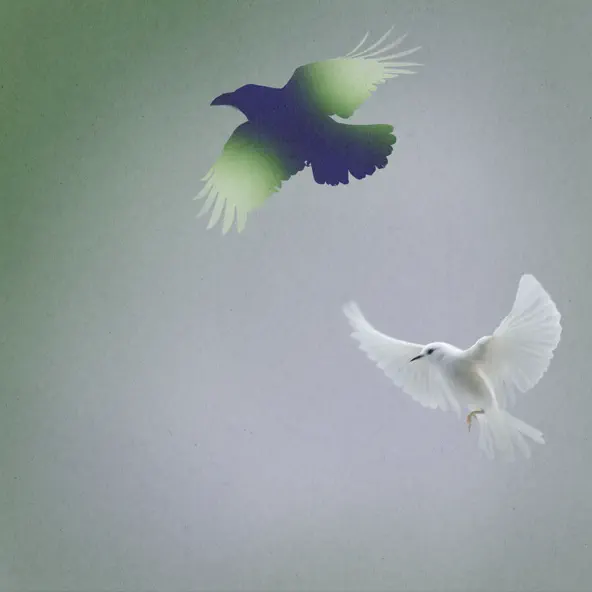 Музика Elderbrook - Shallow Water