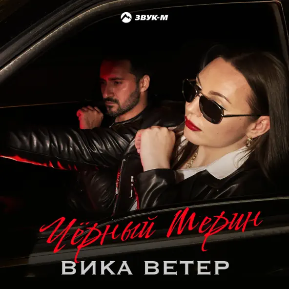Музика Вика Ветер - Чёрный Мерин
