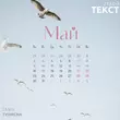 Tanir от Май (feat. Tyomcha)