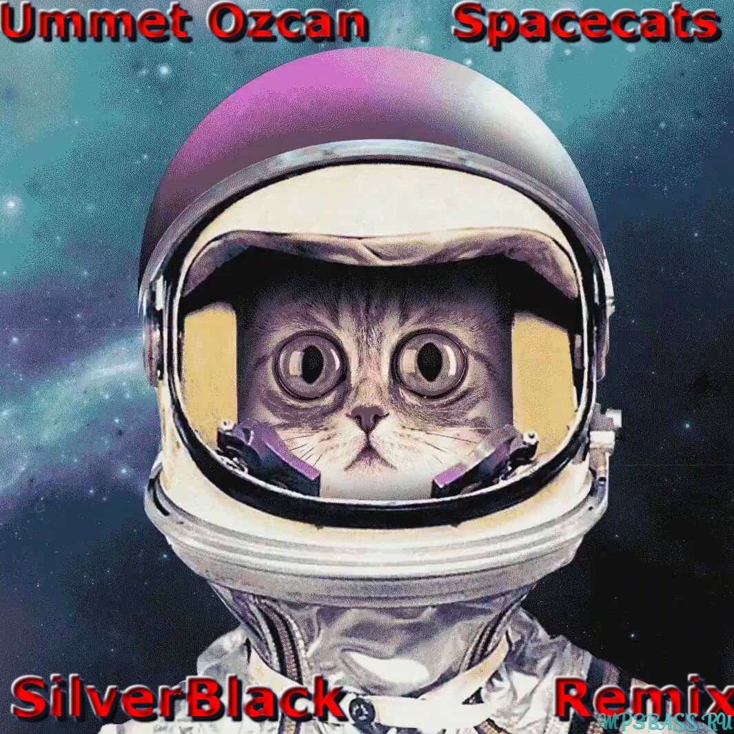 Музика Ummet Ozcan - Spacecats (SilverBlack Remix)