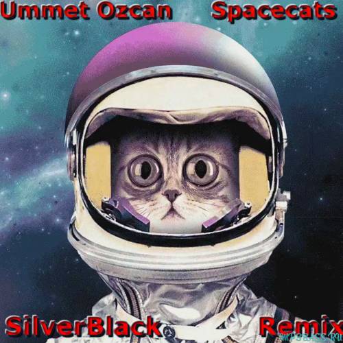 Ummet Ozcan от Spacecats (SilverBlack Remix)