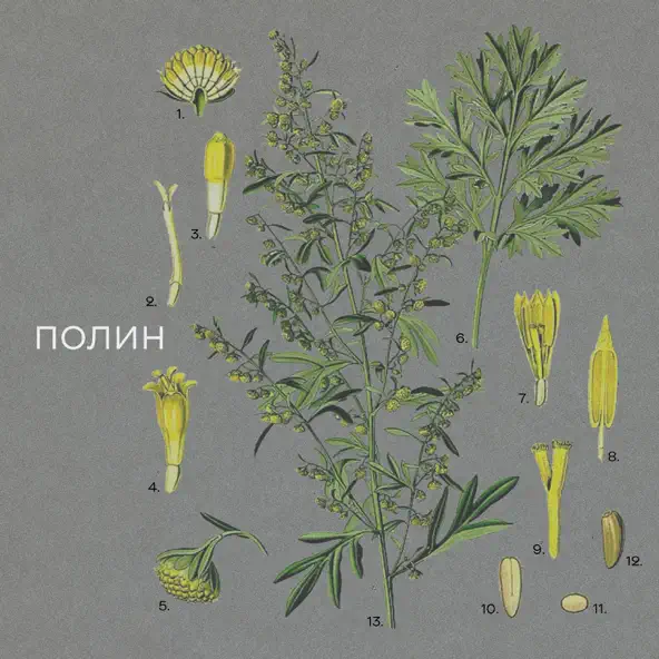 Музика Нікіта Кісельов - Полин