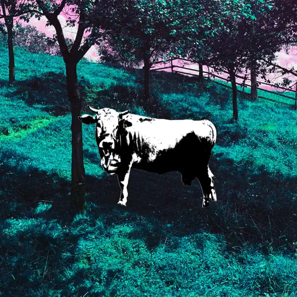 Музика Zhanulka - Моменты (feat. Какая Разница)