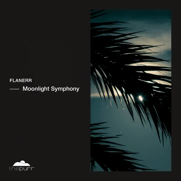 Музика Flanerr - Moonlight Symphony (Original Mix)
