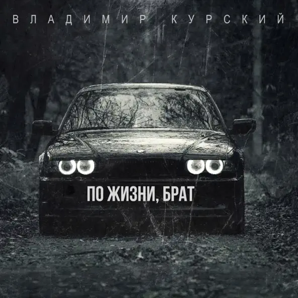 Музика Владимир Курский - По Жизни Брат