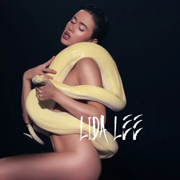 Музика Lida Lee - Зима В Пустелі