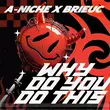 A-Niche от Why Do You Do This (feat. Brieuc)