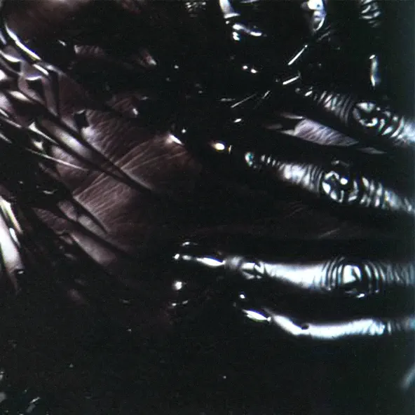 Музика Sebastian Ingrosso - Flood (Original Mix)