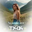 Ту-134 от Ты Мечта Моя