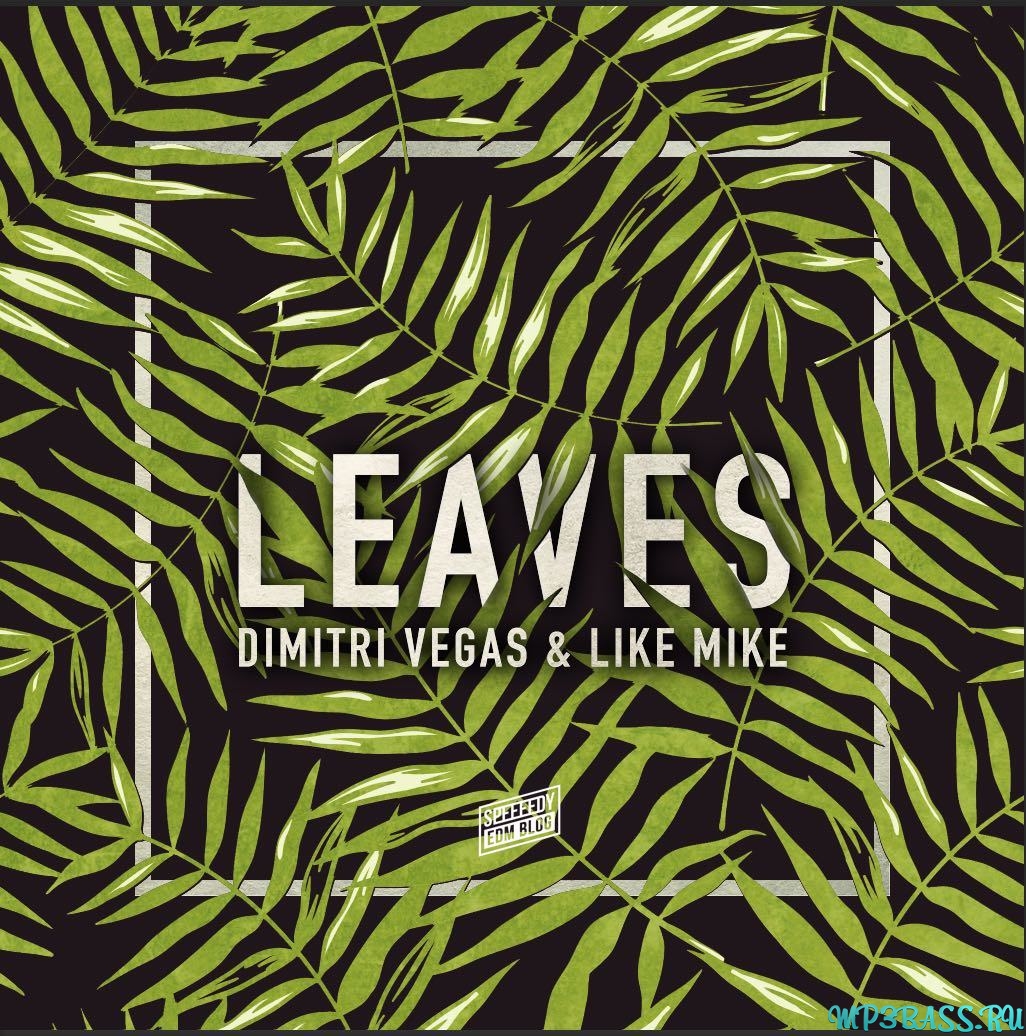 Музика Dimitri Vegas & Like Mike - Leaves (Original Mix)