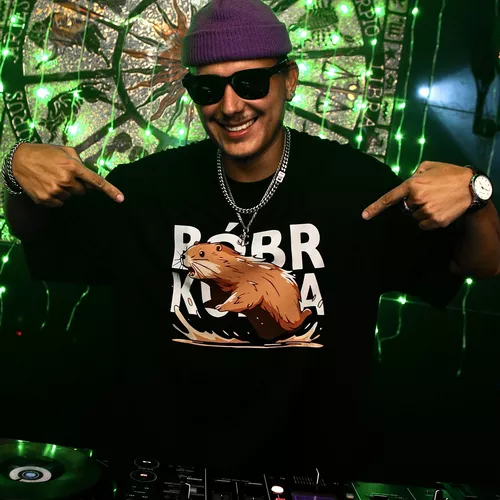 Музика Slava Skripka - Бобр (Mikis Blend TikTok Remix)