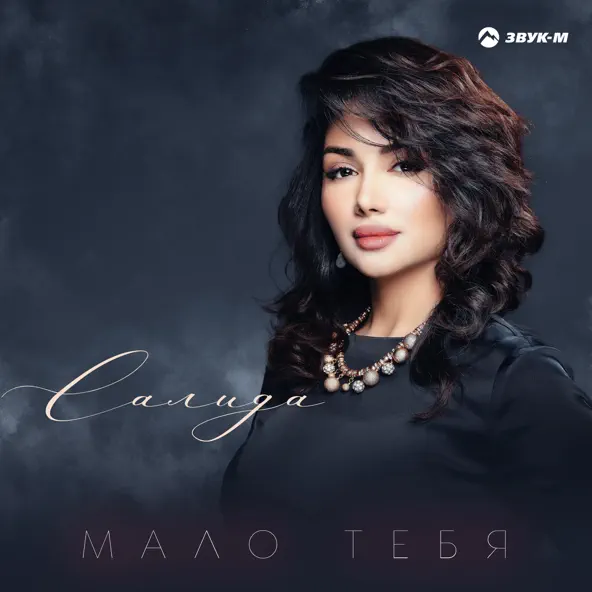 Музика Салида - Мало Тебя