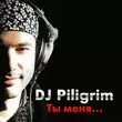 DJ Piligrim от Ты Меня Забудь (DJ Moyshe Afro Mix)