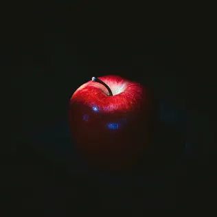 Музика Lx24 - Дикая