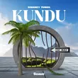 Swanky Tunes от Kundu