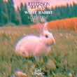 Jefferson Airplane от White Rabbit (Kerem Genc Rework)