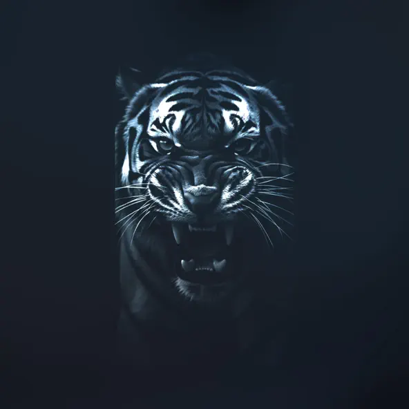 Музика Bandi&Bagi - Тігири