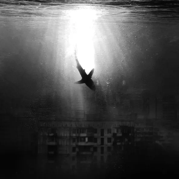 Музика Lustova - Буйный Ветер