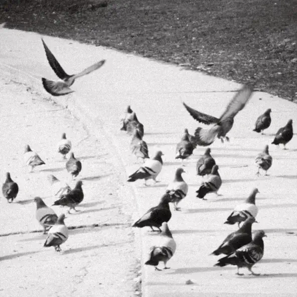 Музика Keenan Mathias - On That