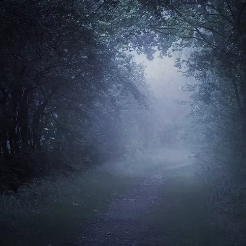 Музика Misty - Тёмная Ночь