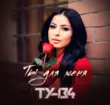 Ту-134 от Ты Для Меня