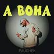 Pauchek от А Вона