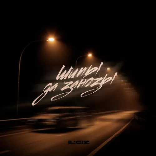 Музика Il'giz - Шипы Да Занозы