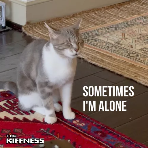 Музика The Kiffness - Sometimes I'm Alone (Lonely Cat)