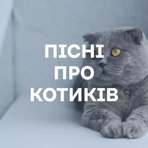 Пісні про котиків - подборка песен