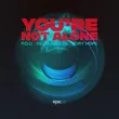 P.O.U & Delta Vaults feat. Rory Hope от You're Not Alone (Extended Mix)
