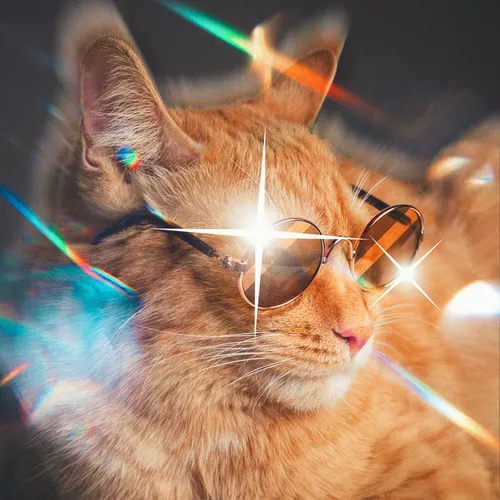 Музика Simbachka - Тот Самый Кот