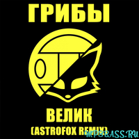 Грибы от Велик (AstroFox Remix)