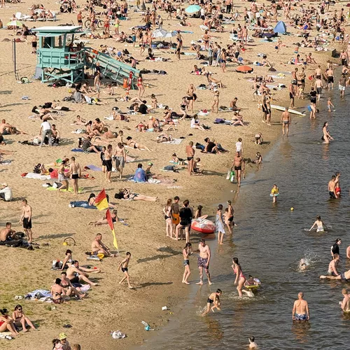 Музика Нікіта Кісельов - Чайка