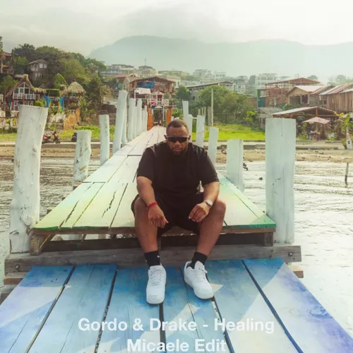 Музика Gordo & Drake - Healing (Micaele Edit)
